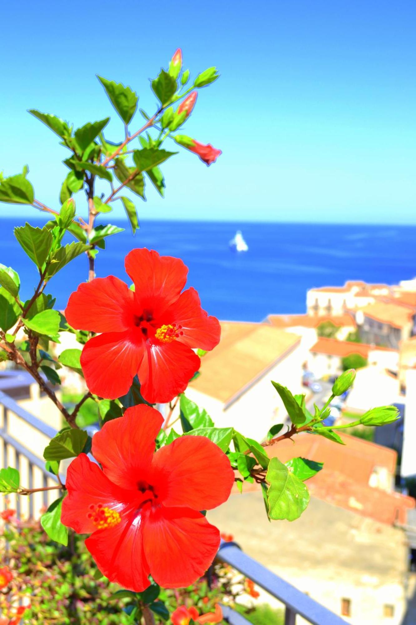 Scirocco Bed & Breakfast Cefalu Ngoại thất bức ảnh
